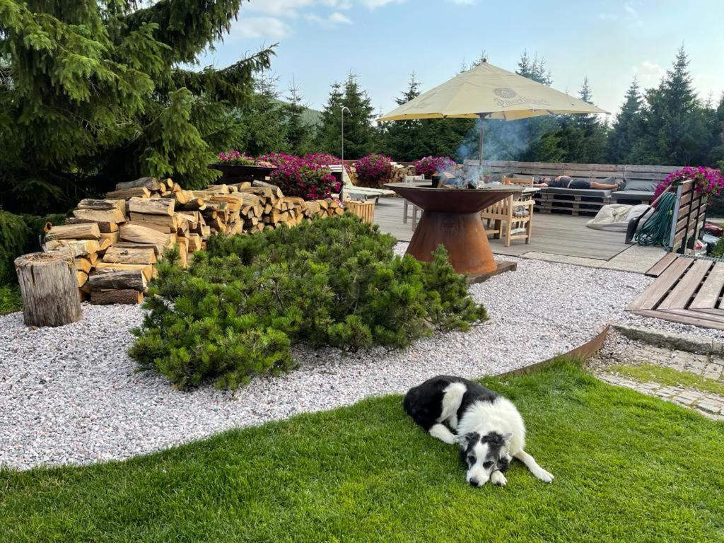 Hotel Oddech Pec pod Snezkou Εξωτερικό φωτογραφία
