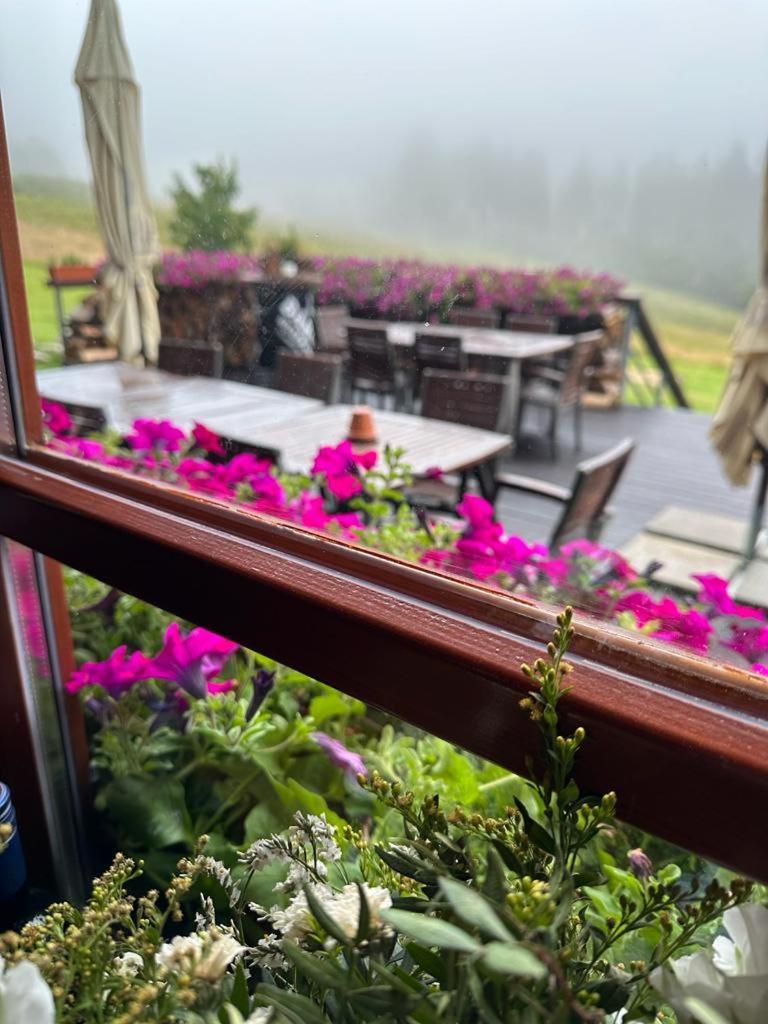 Hotel Oddech Pec pod Snezkou Εξωτερικό φωτογραφία