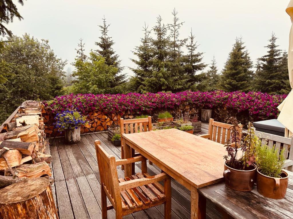 Hotel Oddech Pec pod Snezkou Εξωτερικό φωτογραφία